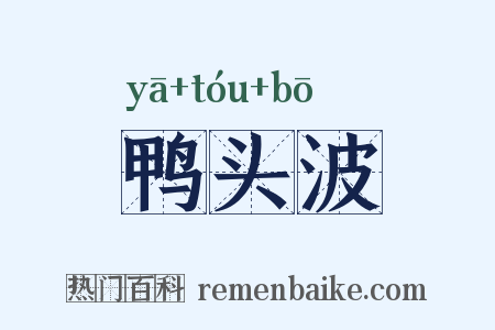 鸭头波是什么意思的图片